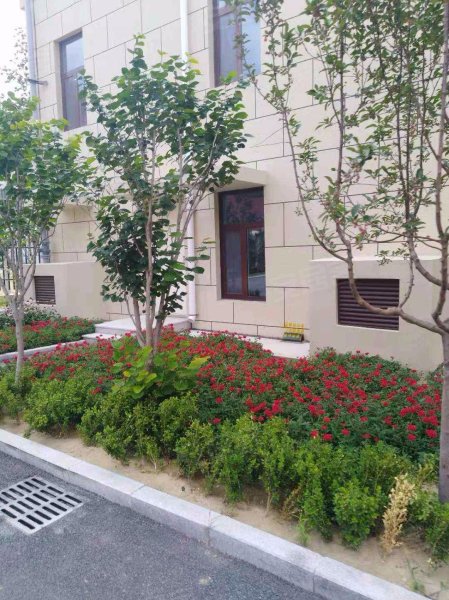 金域华庭,车站一街9号-潍坊金域华庭二手房,租房,房价-潍坊安居客