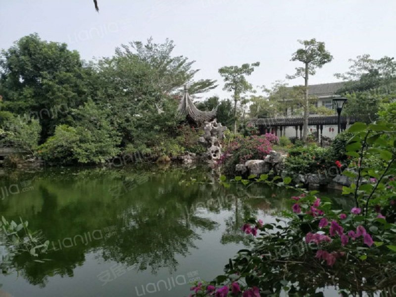 宝安江南城(三期)