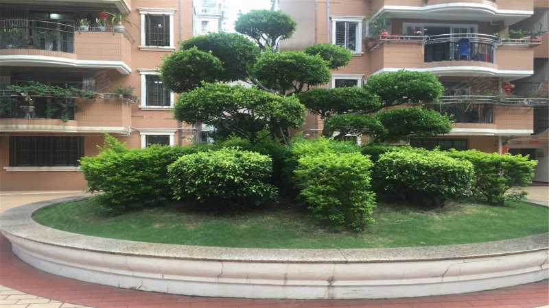 金庭花园,禾祥东路22号-厦门金庭花园二手房,租房,房价-厦门安居客