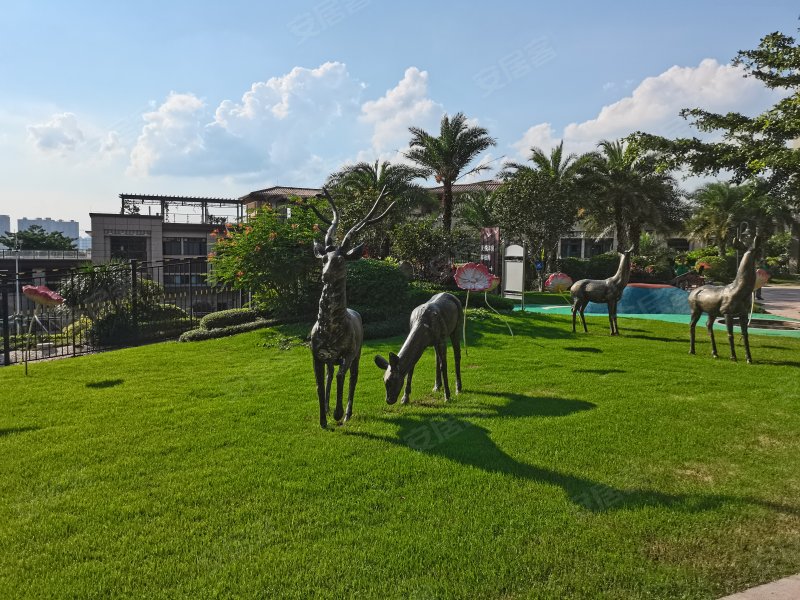 碧桂园凤凰山,东环路-河源碧桂园凤凰山二手房,租房,房价-河源安居客