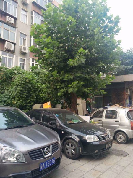 馨华园,红军大街-石家庄馨华园二手房,租房,房价-石家庄安居客