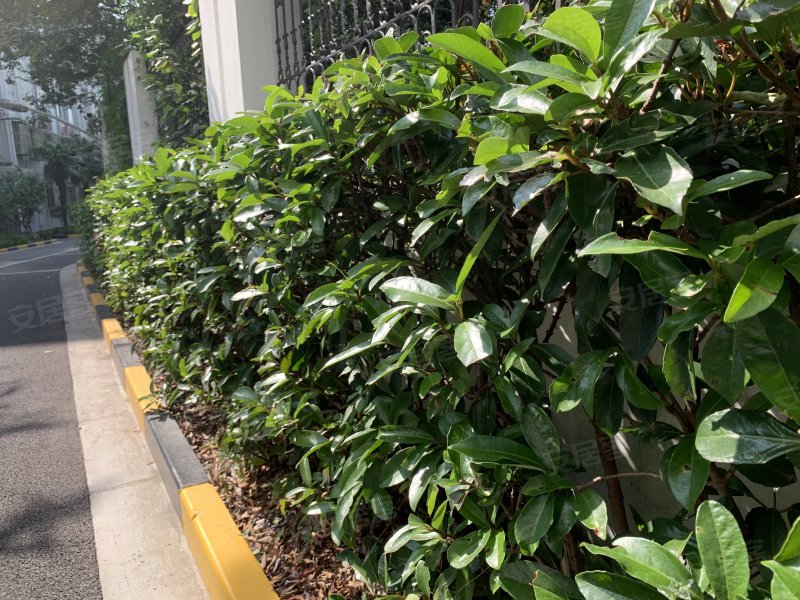 金汇花园一街坊,虹井路618弄1-98号-上海金汇花园一街坊二手房,租房