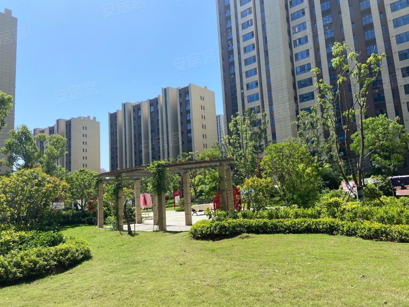 碧桂园黄金时代