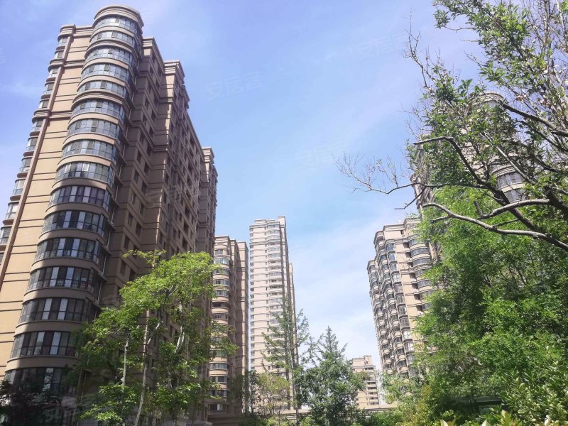 金都华府,青年路-菏泽金都华府二手房,租房,房价-菏泽安居客