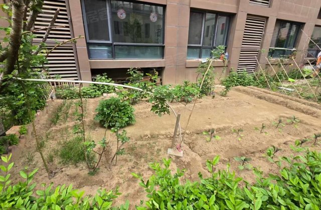 万达盛世年华2室2厅103㎡58.8万二手房图片