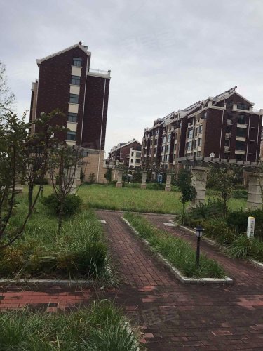 青云郡,文化路 - 安丘青云郡二手房,租房,房价-安丘安居客