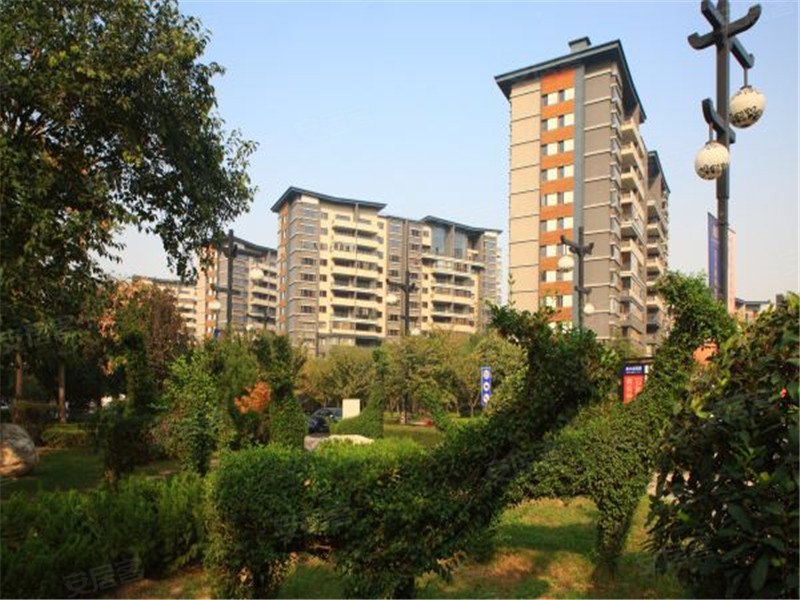 天地源枫林意树