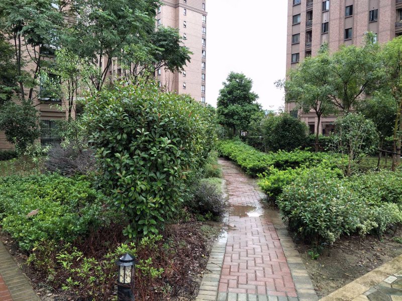 新凯城紫荆苑,泗凯路669弄-上海新凯城紫荆苑二手房,租房,房价-上海