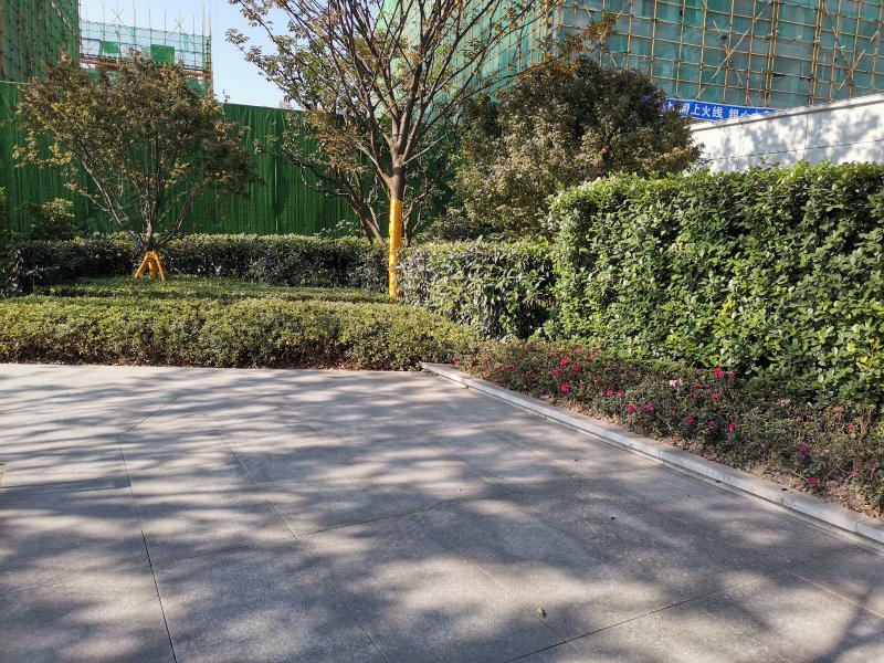 珠江城天悦江湾