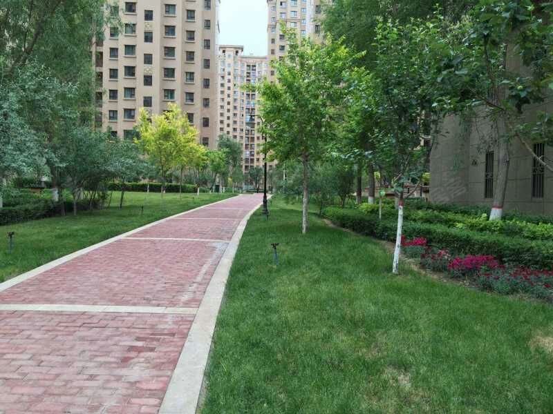 马德里春天(一期)