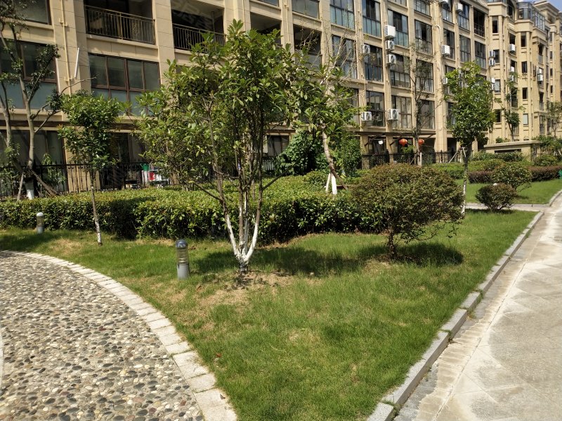 凤凰名城,凤凰路1556号-安吉凤凰名城二手房,租房,房价-安吉安居客