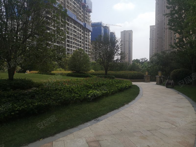 美景九悦山,青岛路79号-洛阳美景九悦山二手房,租房,房价-洛阳安居客