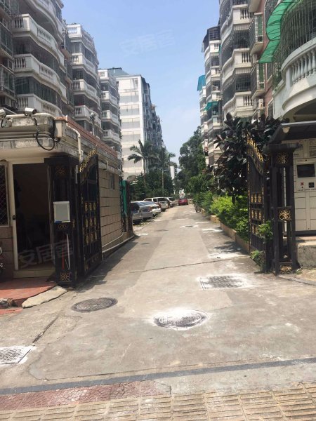 半山豪庭,南山路542-558号-厦门半山豪庭二手房,租房,房价-厦门安居客