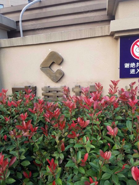 练祁佳城盛蔷坊 