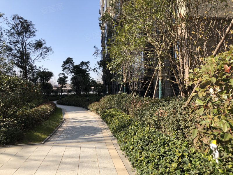 碧桂园珑悦,棉原路-潜江碧桂园珑悦二手房,租房,房价-潜江安居客