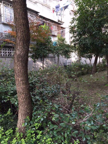 迎园路351弄小区 