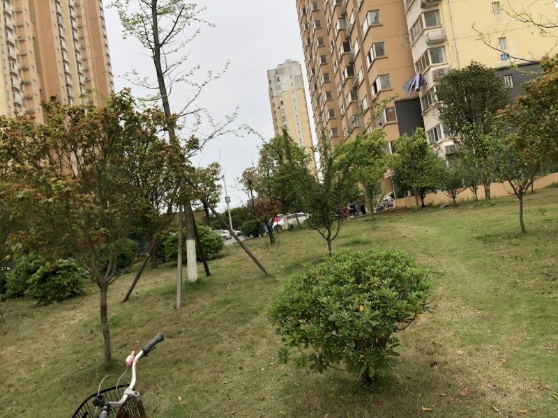 怡芳苑,014乡道-九江怡芳苑二手房,租房,房价-九江安居客