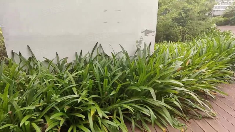 三九花园,银湖路-深圳三九花园二手房,租房,房价-深圳安居客