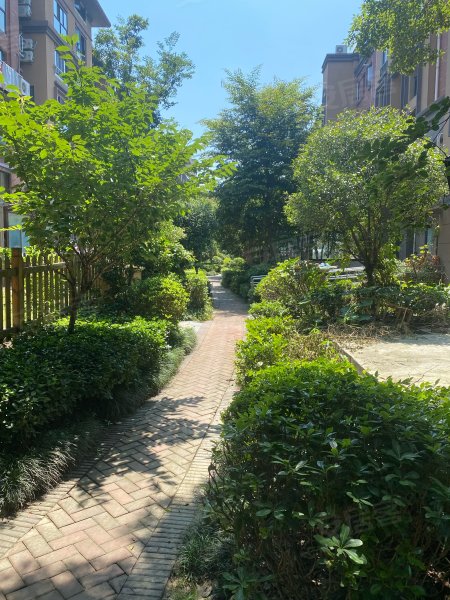 中信森林湖棕榈园,亭盛街-苏州中信森林湖棕榈园二手房,租房,房价