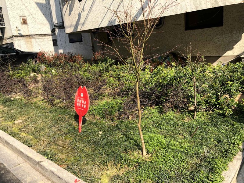 杨柳湾公寓,安乐路189号-嘉兴杨柳湾公寓二手房,租房,房价-嘉兴安居客