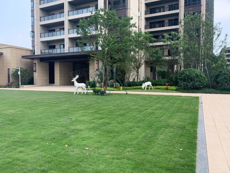 远洋山水,612县道-茂名远洋山水二手房,租房,房价-茂名安居客