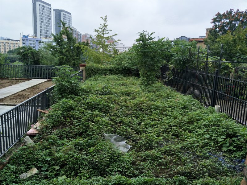 万科高尔夫城市花园(别墅)