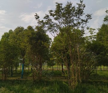 高淳宝龙广场(商住楼)