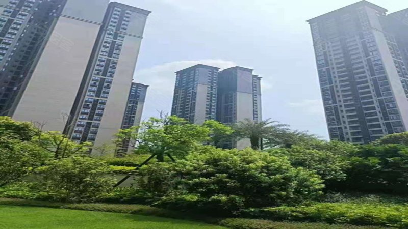 金穗花园(南海),半岛路2号-佛山金穗花园(南海)二手房,租房,房价-佛山