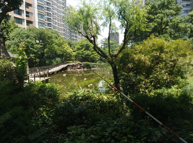 逸天广场(公寓住宅)