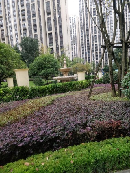实地蔷薇国际,新蒲大道-遵义实地蔷薇国际二手房,租房,房价-遵义安居