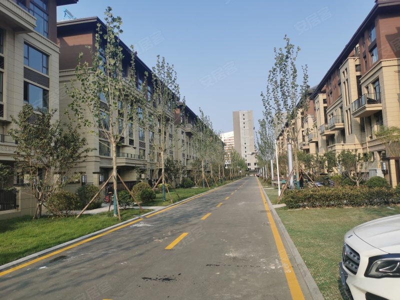 东凯悦府,南一路-东营东凯悦府二手房,租房,房价-东营安居客