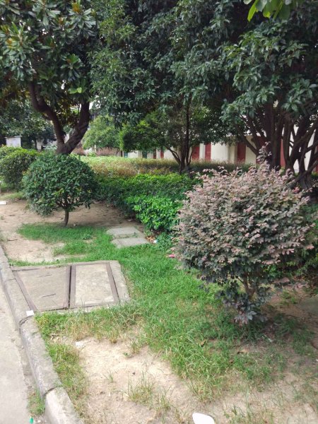 南塘花园(南区),粮丰街129弄-宁波南塘花园(南区)二手房,租房,房价