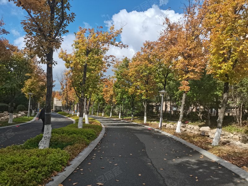 伟峰东樾(西区)