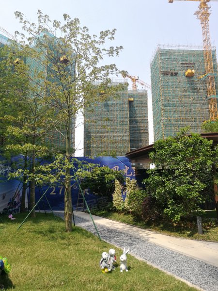 坚基风光里,滨江大道西-河源坚基风光里二手房,租房,房价-河源安居客