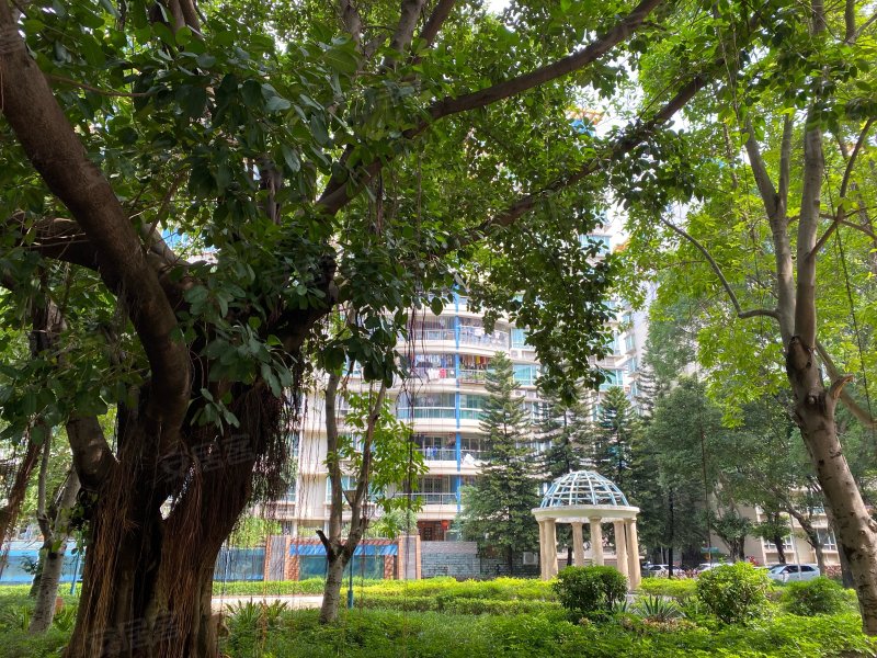 海龙湾,番禺大石镇南浦岛新浦南路-广州海龙湾二手房,租房,房价-广州