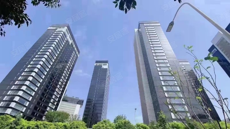 中大国际九号,科技三路,近高新路-西安中大国际九号二手房,租房,房价