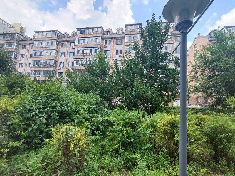 珠江俊景,南直路63号-哈尔滨珠江俊景二手房,租房,房价-哈尔滨安居客