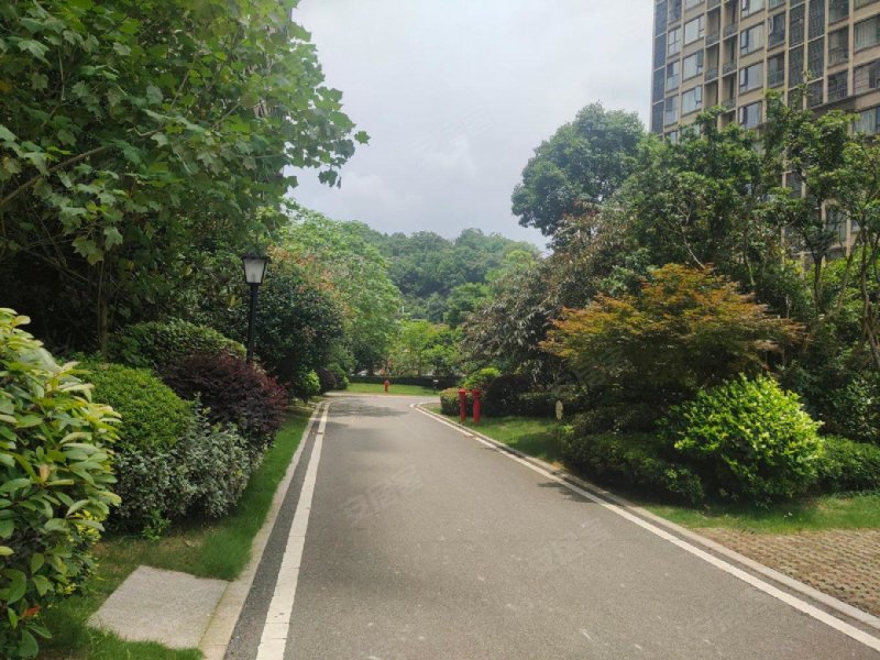 奥园广场,泰山路-株洲奥园广场二手房,租房,房价-株洲安居客