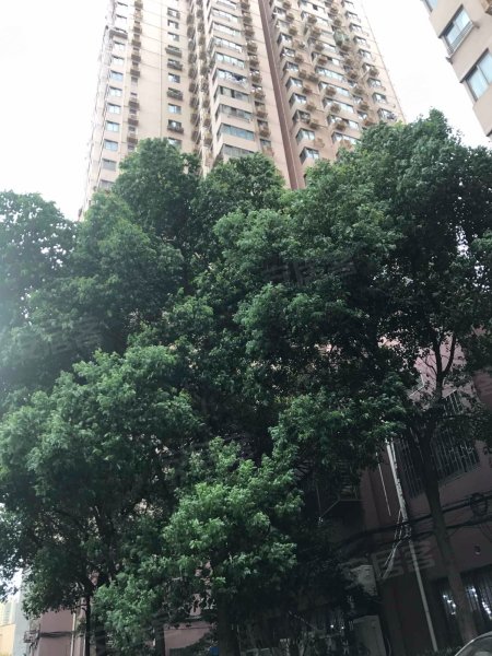 胶州教师公寓,常德路999号,胶州路718弄2号,胶州路728号-上海胶州教师