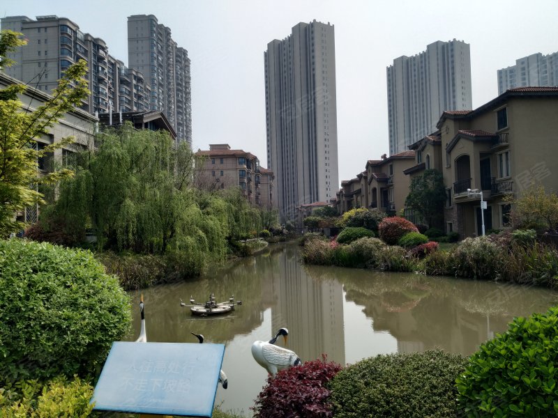 九江碧桂园,九瑞大道-九江九江碧桂园二手房,租房,房价-九江安居客