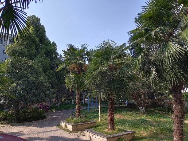 金色池塘一期(纯水岸),环湖东路99号-合肥金色池塘一期(纯水岸)二手房