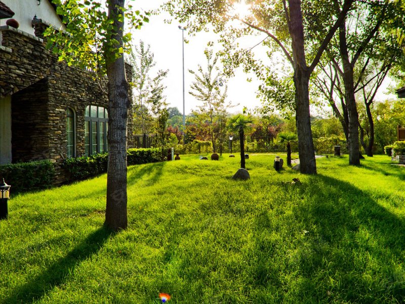 思念果岭国际社区