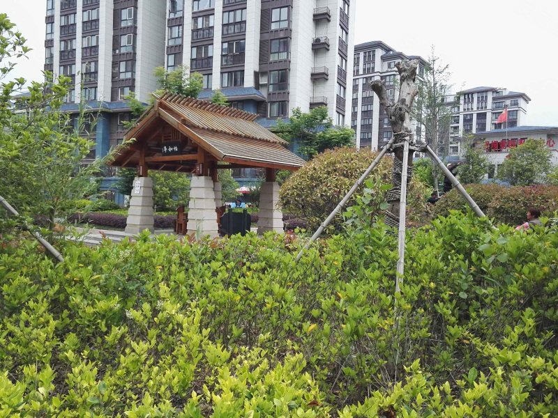 澳门花园,明德路,近黄山路-泗洪澳门花园二手房,租房,房价-泗洪安居客