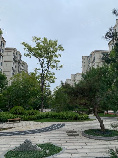 泰和上筑,潍县中路-潍坊泰和上筑二手房,租房,房价-潍坊安居客