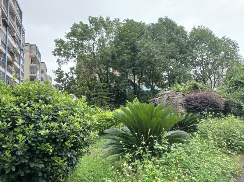 隐龙山庄,金东路13号-赣州隐龙山庄二手房,租房,房价-赣州安居客