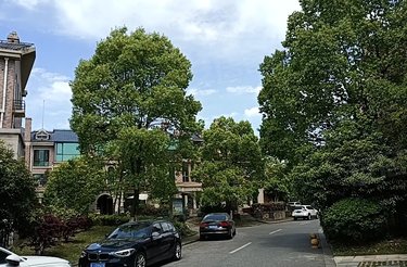 上海人家,玉湖东路2号 - 萍乡上海人家二手房,租房,房价-萍乡安居客