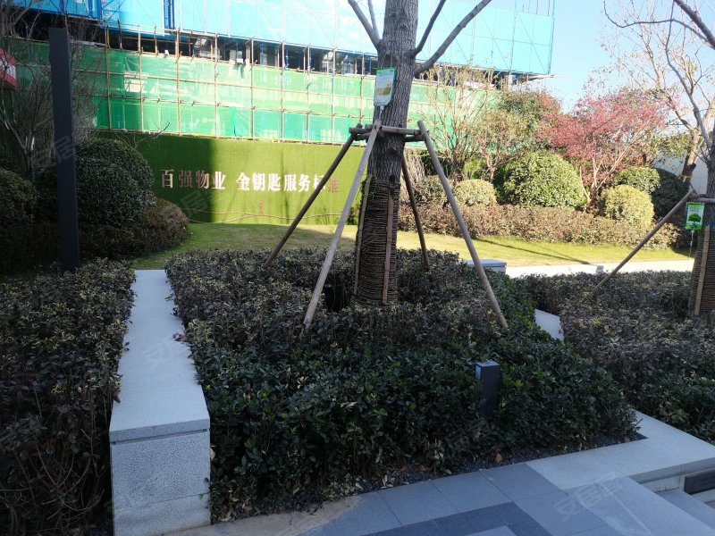 新力帝泊湾,通亭街150号-潍坊新力帝泊湾二手房,租房,房价-潍坊安居客