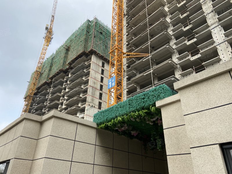 鑫都紫宸府,凤岐路,近跃大道-济南鑫都紫宸府二手房,租房,房价-济南