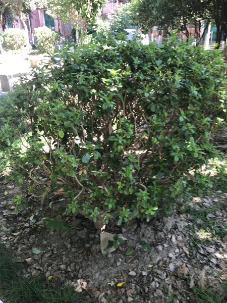 春晖小区(航华三村四街坊) 