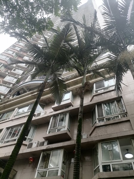 泰正花园,金紫街10号-重庆泰正花园二手房,租房,房价-重庆安居客